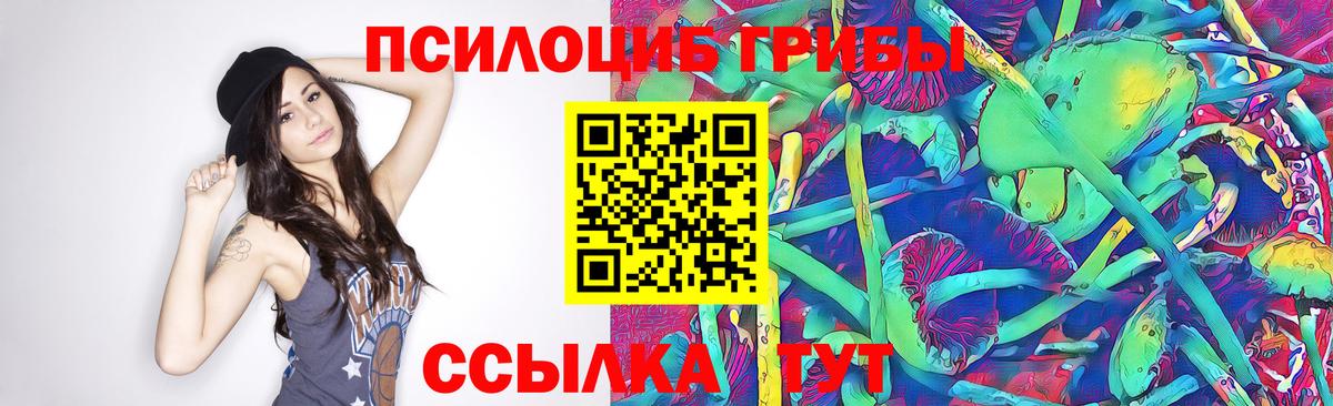наркотики  Вход с VPN  Галлюциногенные грибы Psilocybe  Ейск  Псилоцибиновые грибы GOLDEN TEACHER 